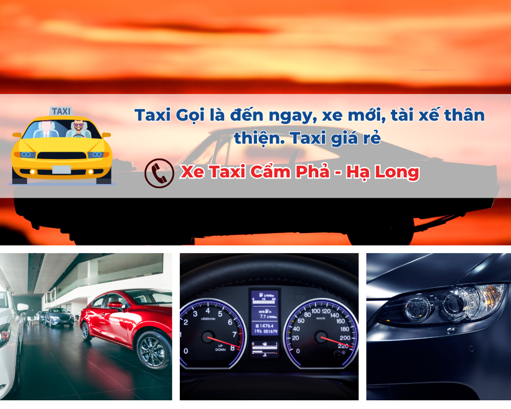 Tại sao nên chọn Taxi Cẩm Phả để đi Trường Tiểu học Trần Quốc Toản?