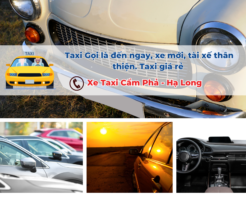 Các dịch vụ khác