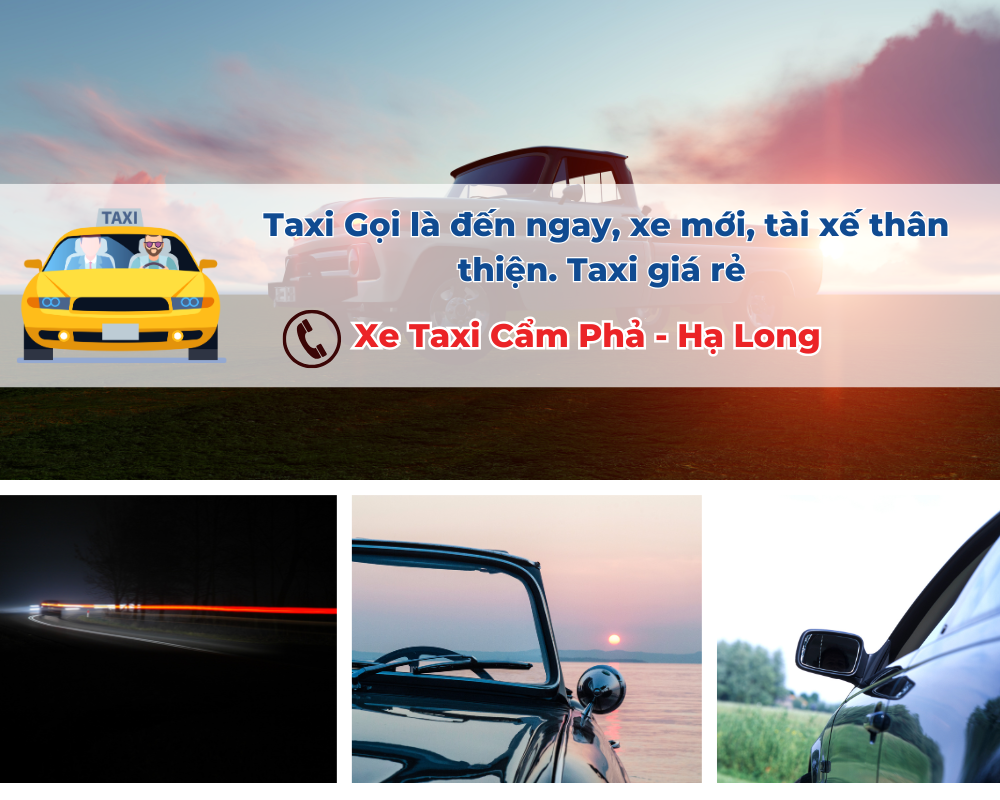 Các dịch vụ khác