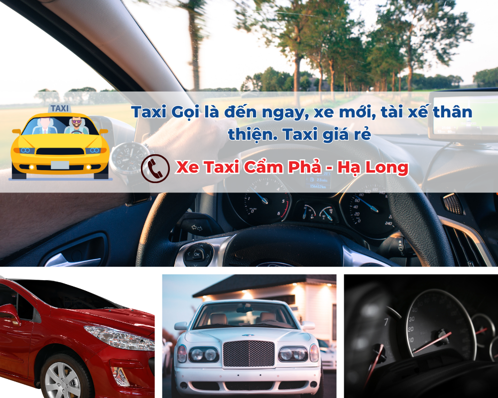 Tại sao nên chọn Taxi Cẩm Phả để đi các khách sạn ở Cẩm Phả?