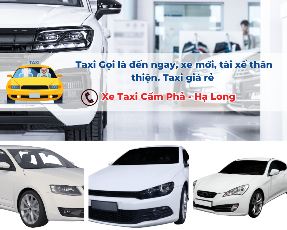 Tại sao nên chọn Taxi Cẩm Phả cho các chuyến đi đường dài?
