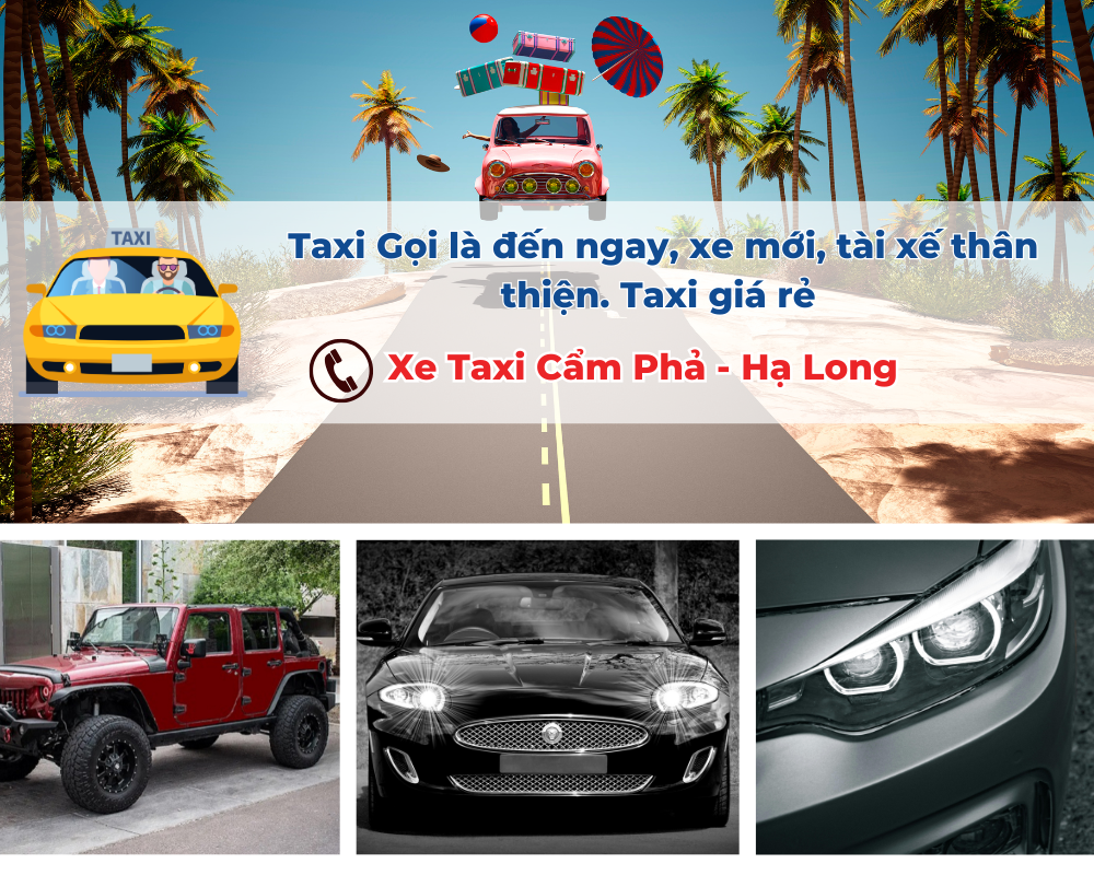 Tại Sao Nên Chọn Taxi Cẩm Phả?