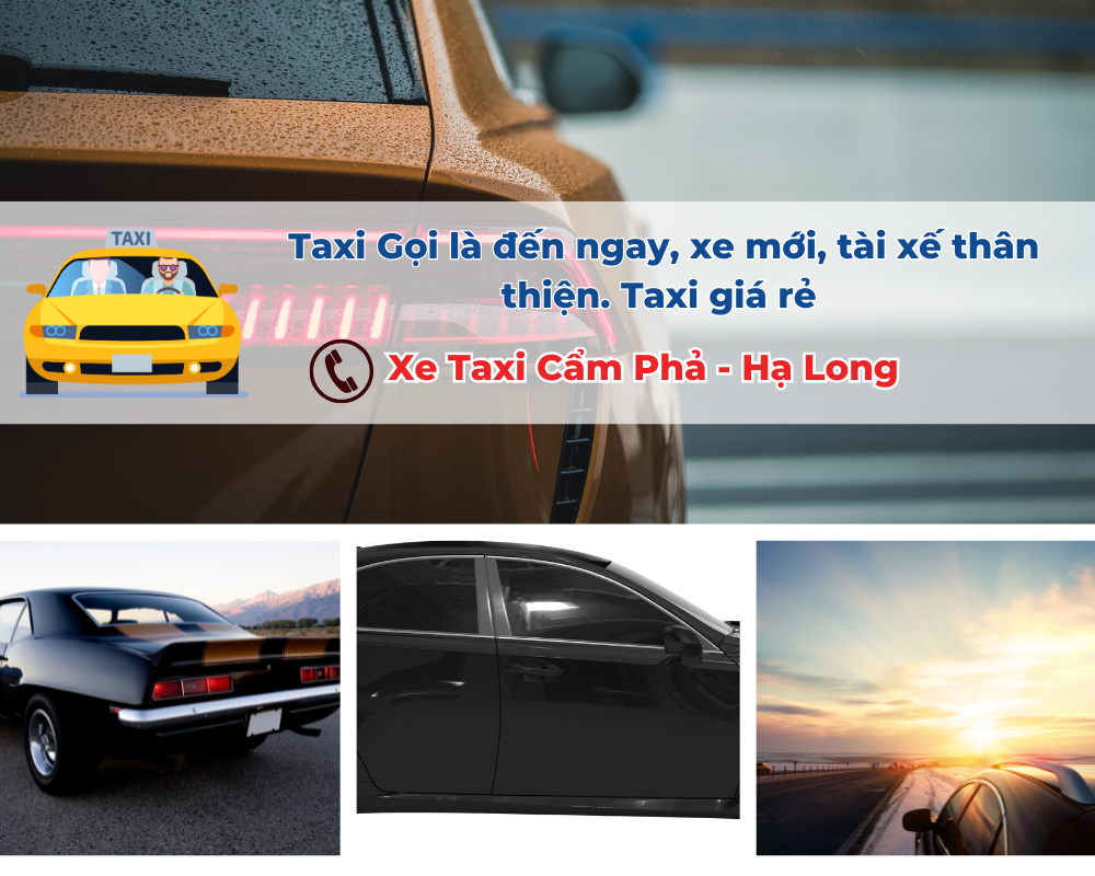 Tại Sao Nên Chọn Taxi Cẩm Phả?