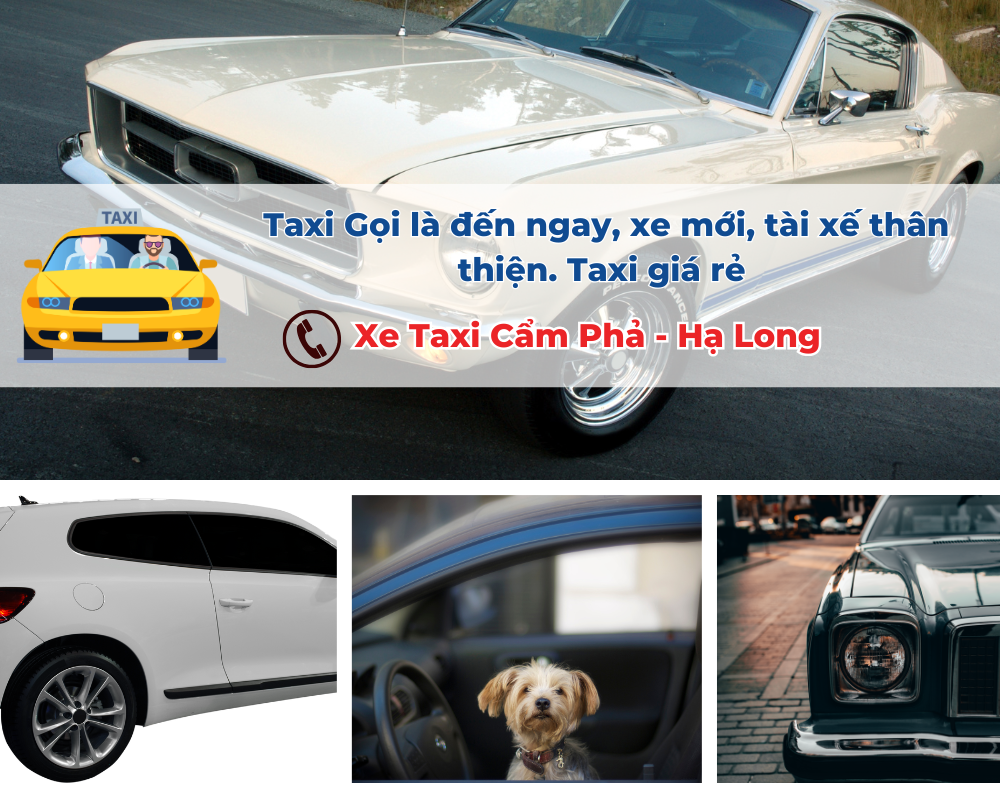 Các dịch vụ khác