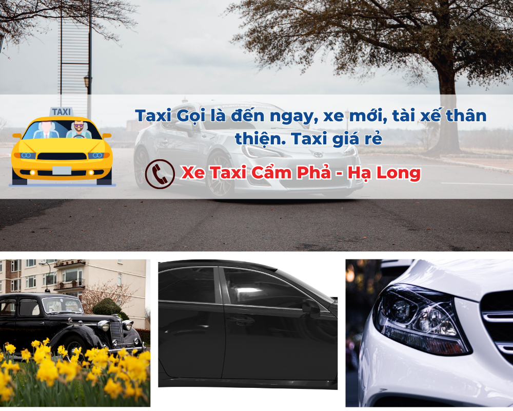 Đặt xe Taxi Cẩm Phả như thế nào?