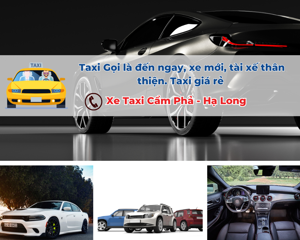 Tại sao nên chọn Taxi Cẩm Phả để đi Yoko Onsen Quang Hanh?