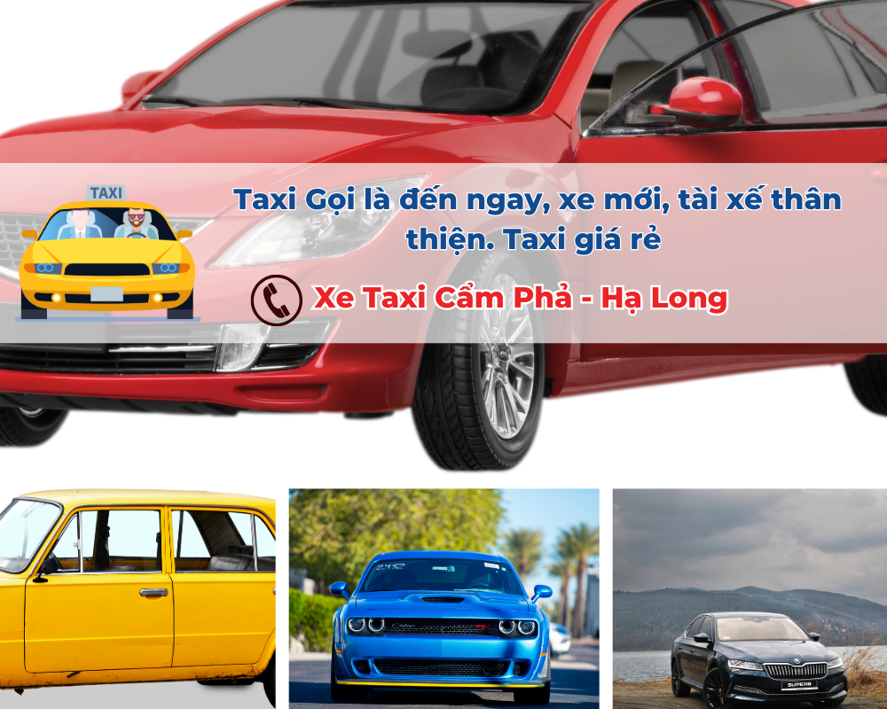 Các dịch vụ khác